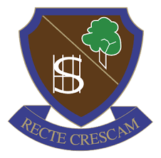 School logo